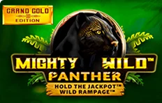 Mighty Wild Panther